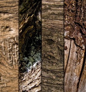 текстура дерева, неполированнное дерево, деревянная текстура