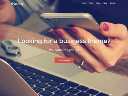 Шаблон Wordpress сайта, тема, карусель, слайдер, во весь экран, скачать